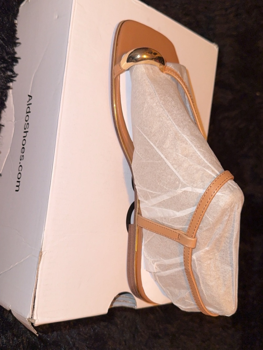 Aldo Tan T-Strap Sandals with Gold Toe Detail